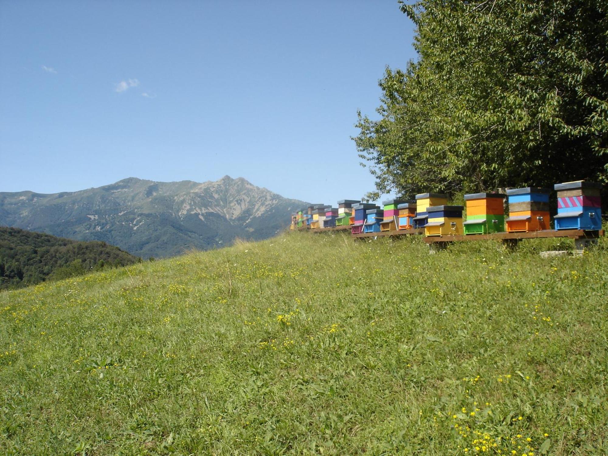 Agriturismo Bio-Ecologico Sant'Isidoro Roccaforte Mondovi Экстерьер фото